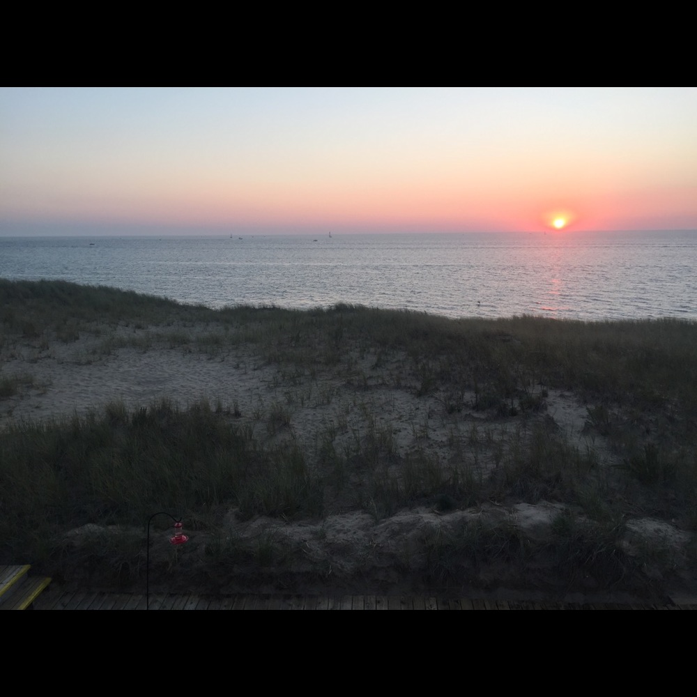 Meet your Posher, Tom